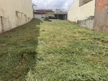 imagem 3 - Terreno - Padrão imagem 3 - Terreno - Padrão