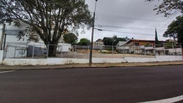 Botucatu Vila Sonia Estabelecimento Locacao R$ 2.600,00  1 Vaga Area do terreno 900.00m2 Area construida 24.00m2