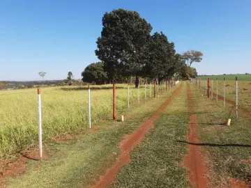 imagem 1 - Rural - Sítio imagem 1 - Rural - Sítio