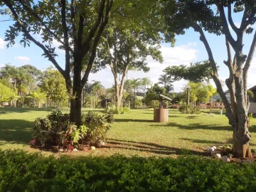 imagem 3 - Rural - Sítio imagem 3 - Rural - Sítio