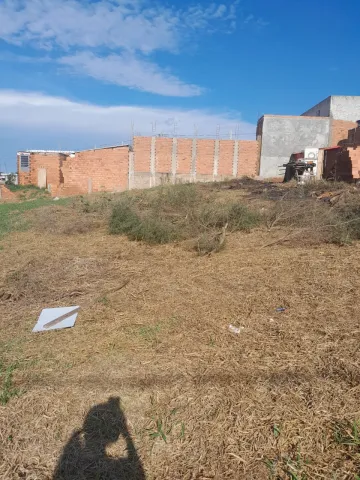 imagem 4 - Terreno - Padrão imagem 4 - Terreno - Padrão