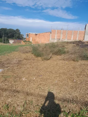 imagem 5 - Terreno - Padrão imagem 5 - Terreno - Padrão