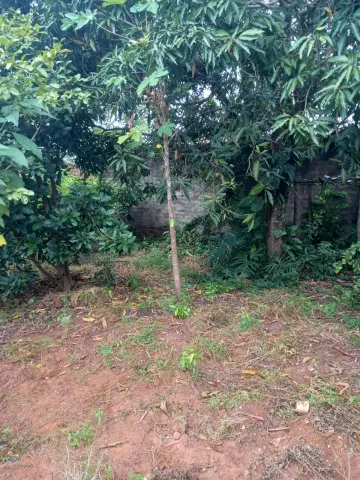 imagem 2 - Terreno - Padrão imagem 2 - Terreno - Padrão