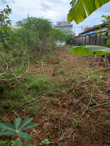 imagem 5 - Terreno - Padrão imagem 5 - Terreno - Padrão
