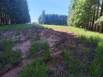 Alugar Terreno / Padrão em Botucatu. apenas R$ 280.000,00