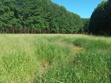 imagem 2 - Terreno - Padrão imagem 2 - Terreno - Padrão