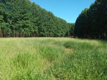 imagem 3 - Terreno - Padrão imagem 3 - Terreno - Padrão