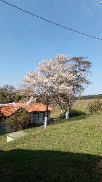 Botucatu Zona Rural Rural Venda R$4.500.000,00  Area do terreno 440000.00m2 