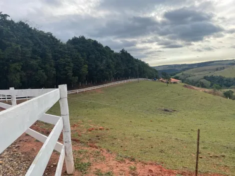 Alugar Rural / Sítio em Pardinho. apenas R$ 1.500.000,00