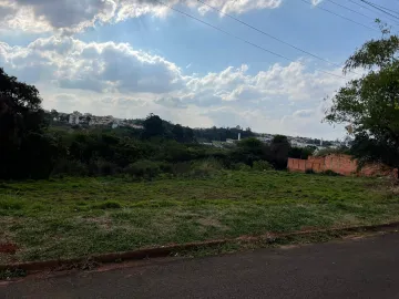 Alugar Terreno / Padrão em Botucatu. apenas R$ 80.000,00