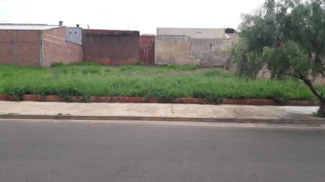 imagem 1 - Terreno - Padrão imagem 1 - Terreno - Padrão