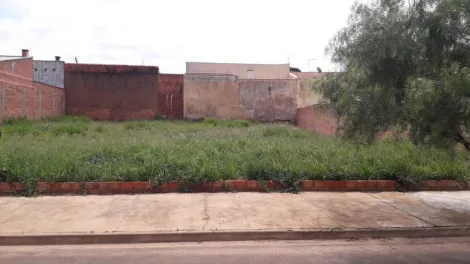 imagem 2 - Terreno - Padrão imagem 2 - Terreno - Padrão
