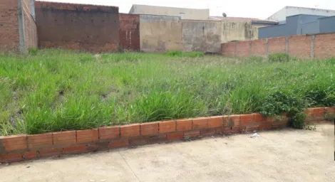 imagem 3 - Terreno - Padrão imagem 3 - Terreno - Padrão