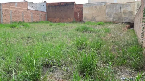 imagem 4 - Terreno - Padrão imagem 4 - Terreno - Padrão