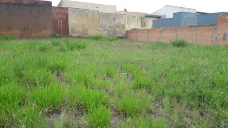 imagem 5 - Terreno - Padrão imagem 5 - Terreno - Padrão