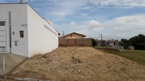 Alugar Terreno / Padrão em Botucatu. apenas R$ 150.000,00