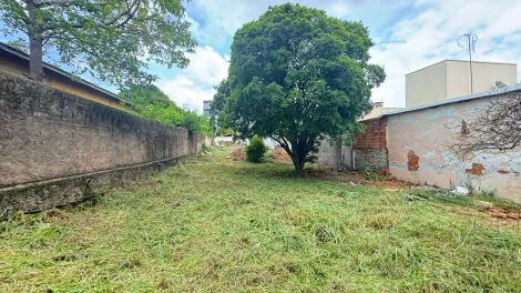 imagem 2 - Terreno - Padrão imagem 2 - Terreno - Padrão