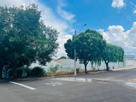 imagem 1 - Terreno - Padrão imagem 1 - Terreno - Padrão