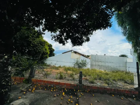 imagem 2 - Terreno - Padrão imagem 2 - Terreno - Padrão