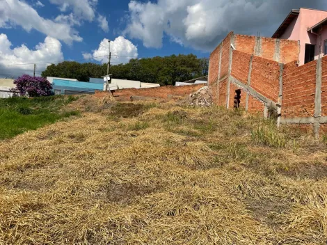 imagem 4 - Terreno - Padrão imagem 4 - Terreno - Padrão