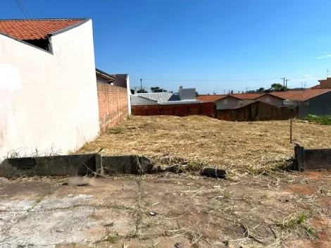 Alugar Terreno / Padrão em Botucatu. apenas R$ 360,00