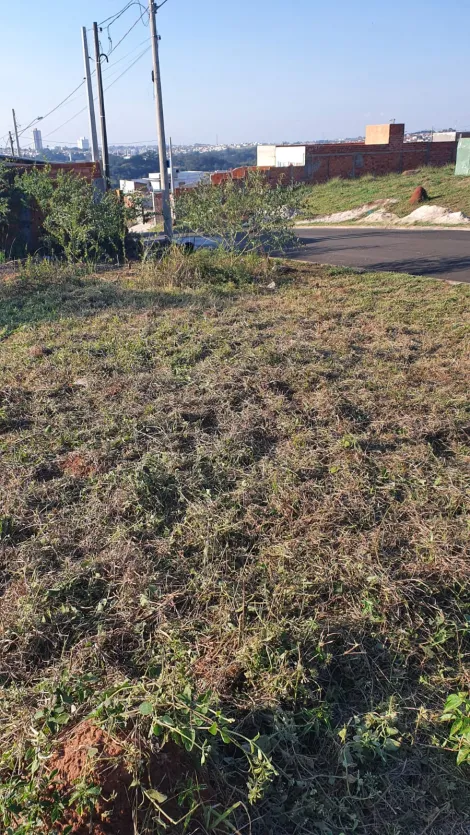 imagem 2 - Terreno - Padrão imagem 2 - Terreno - Padrão