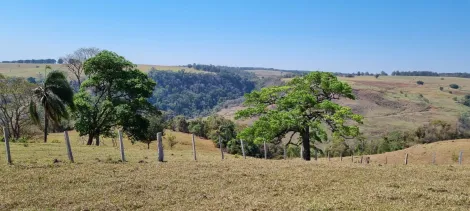 Alugar Rural / Sítio em Botucatu. apenas R$ 975.000,00