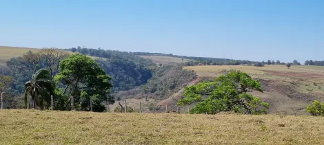 imagem 3 - Rural - Sítio imagem 3 - Rural - Sítio