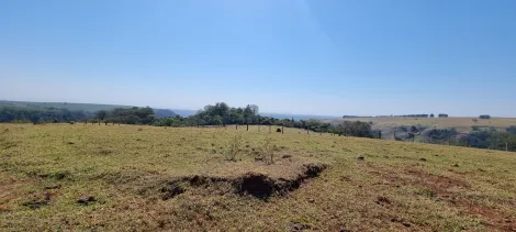 imagem 5 - Rural - Sítio imagem 5 - Rural - Sítio