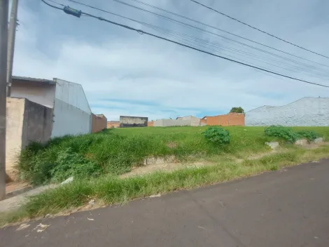 imagem 1 - Terreno - Padrão imagem 1 - Terreno - Padrão