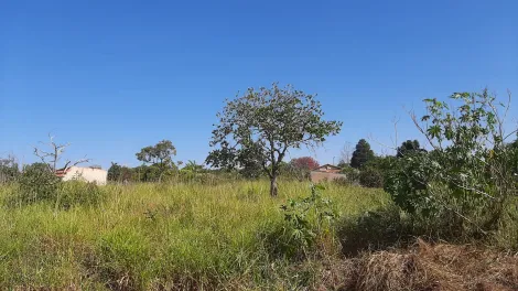 imagem 1 - Terreno - Padrão imagem 1 - Terreno - Padrão