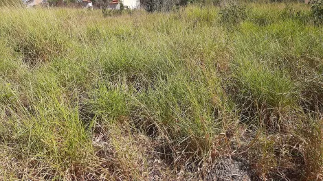 imagem 3 - Terreno - Padrão imagem 3 - Terreno - Padrão