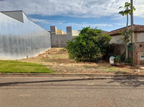 imagem 1 - Terreno - Padrão imagem 1 - Terreno - Padrão