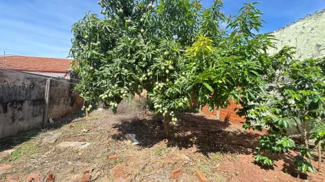 imagem 5 - Terreno - Padrão imagem 5 - Terreno - Padrão