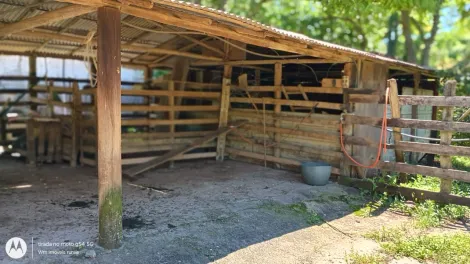 imagem 5 - Rural - Sítio imagem 5 - Rural - Sítio