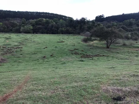 imagem 2 - Rural - Chácara imagem 2 - Rural - Chácara