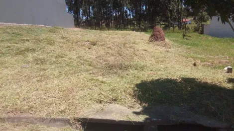 imagem 1 - Terreno - Padrão imagem 1 - Terreno - Padrão
