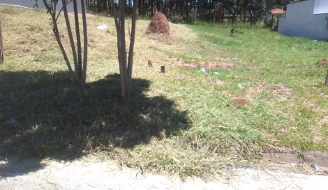 imagem 2 - Terreno - Padrão imagem 2 - Terreno - Padrão