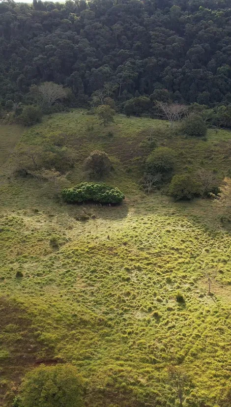 Pardinho Area Rural de Pardinho Rural Venda R$3.500.000,00  Area do terreno 363000.00m2 