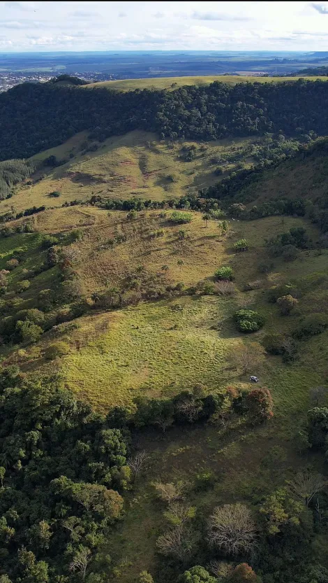 imagem 5 - Rural - Sítio imagem 5 - Rural - Sítio