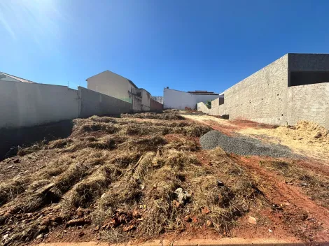 imagem 3 - Terreno - Padrão imagem 3 - Terreno - Padrão
