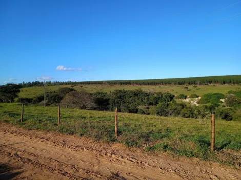 imagem 3 - Rural - Chácara imagem 3 - Rural - Chácara