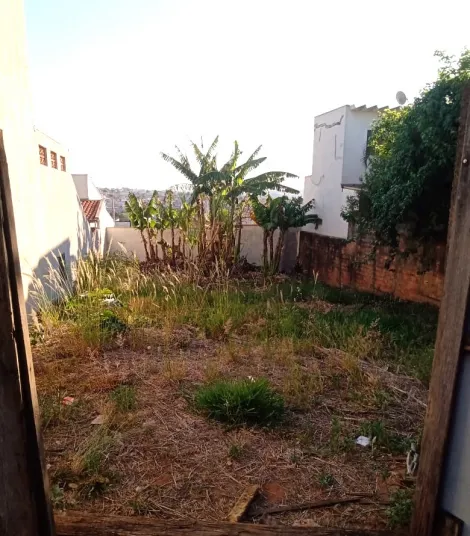 imagem 2 - Terreno - Padrão imagem 2 - Terreno - Padrão