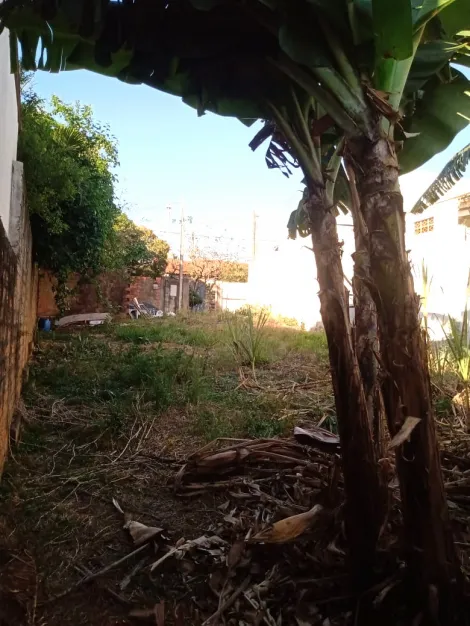 imagem 3 - Terreno - Padrão imagem 3 - Terreno - Padrão